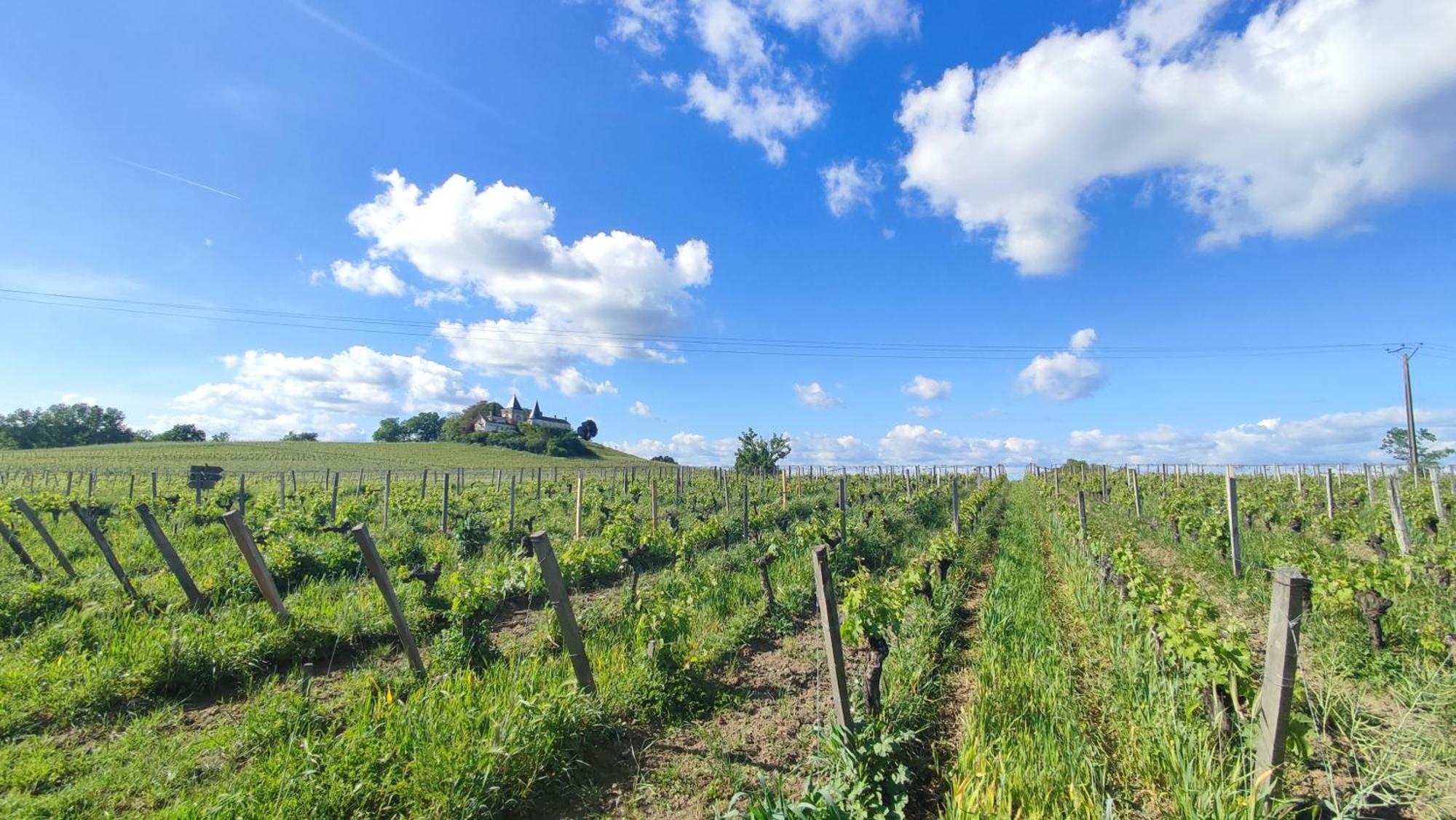 Maison Charmeilles - La Suite Pomerol Fronsac  Exterior foto